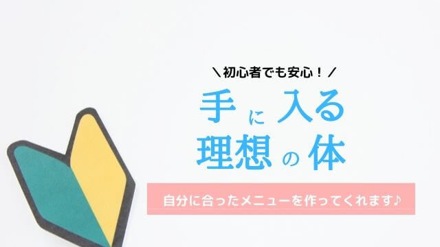 fisは初心者の入会が多い